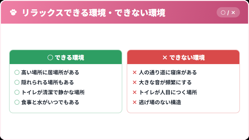 猫がリラックスできる環境と、できない環境の比較