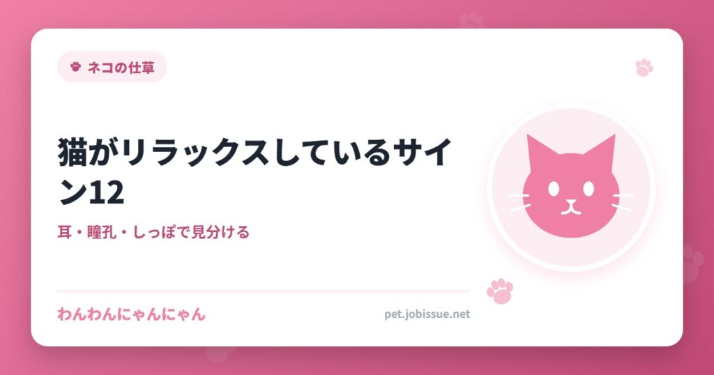 猫がリラックスしているサイン12