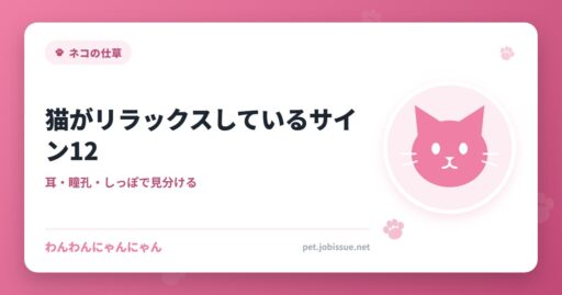 猫がリラックスしているサイン12