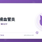 猫の皮膚血管炎