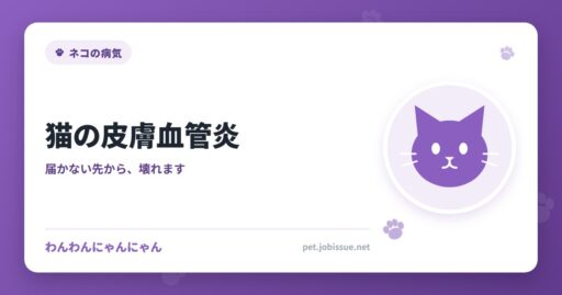 猫の皮膚血管炎