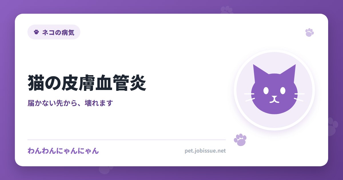 猫の皮膚血管炎