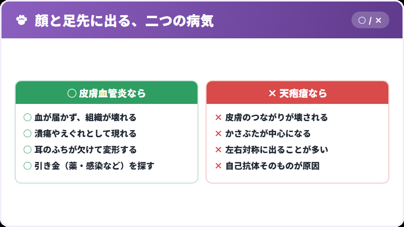 天疱瘡との違い