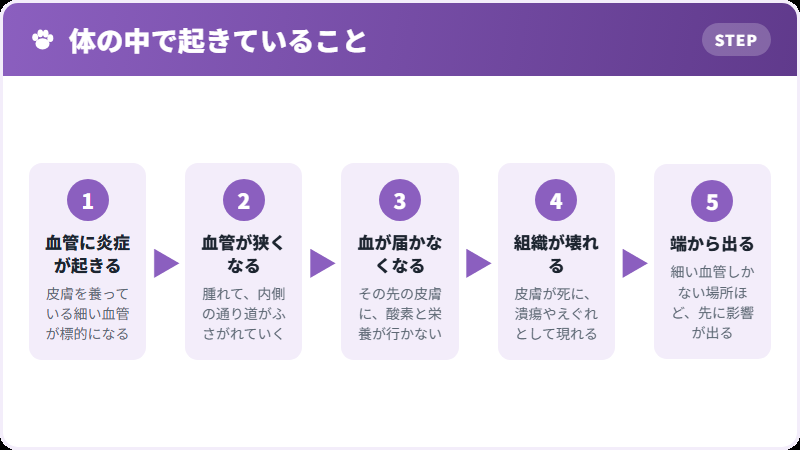 血管が詰まるまで