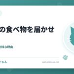 猫に人の食べ物を届かせない