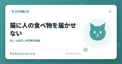 猫に人の食べ物を届かせない