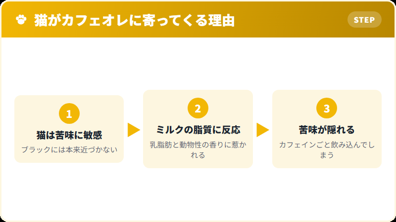 猫がコーヒーに近づく本当の理由の解説図