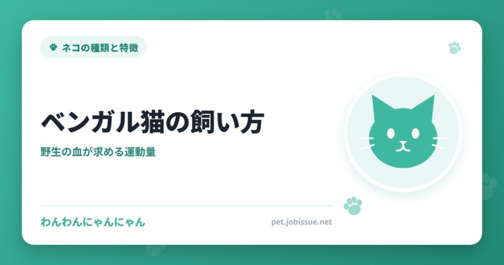 ベンガル猫の飼い方