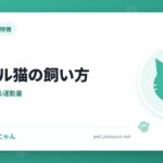 ベンガル猫の飼い方