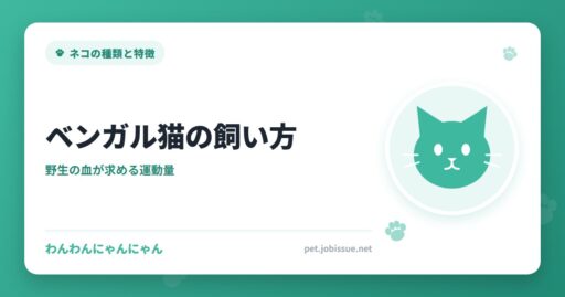 ベンガル猫の飼い方