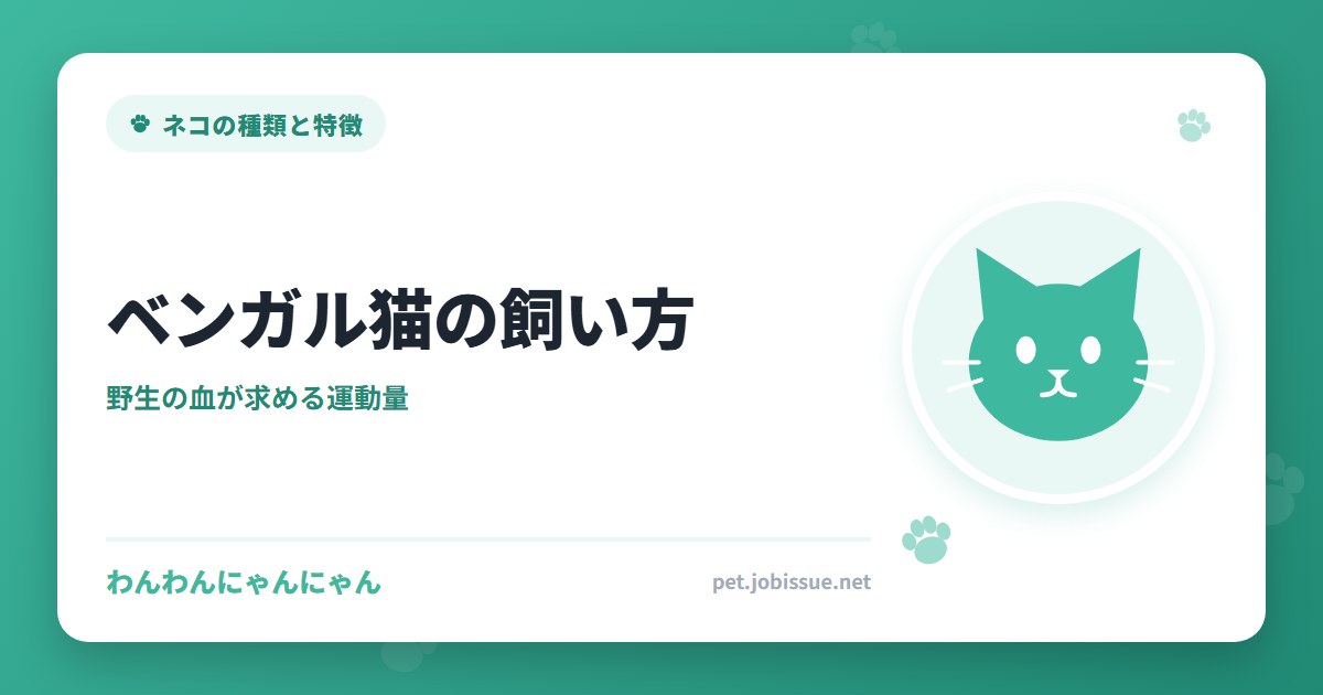 ベンガル猫の飼い方｜野生の血が求める運動量と、垂直の空間