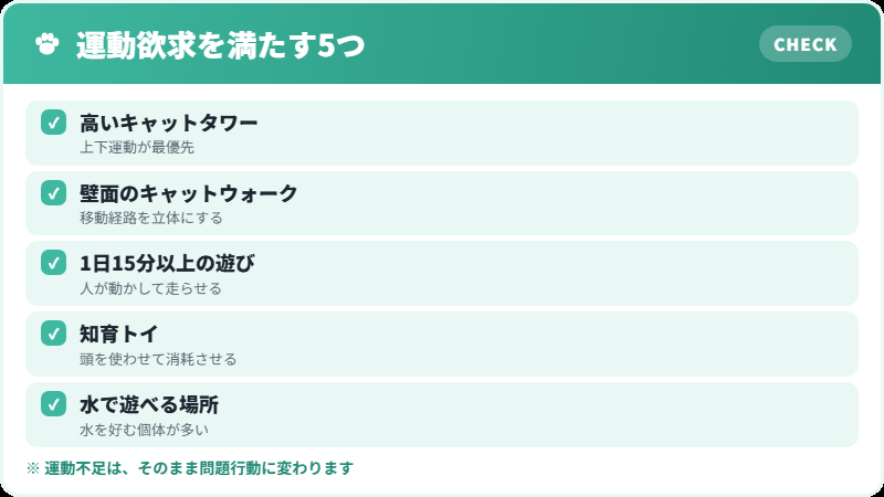 ベンガルに必要な垂直方向の空間チェックリスト