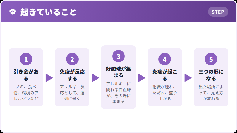 引き金になるもの
