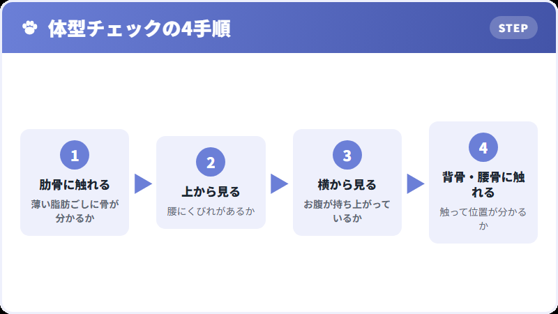 体型を触って確認する方法