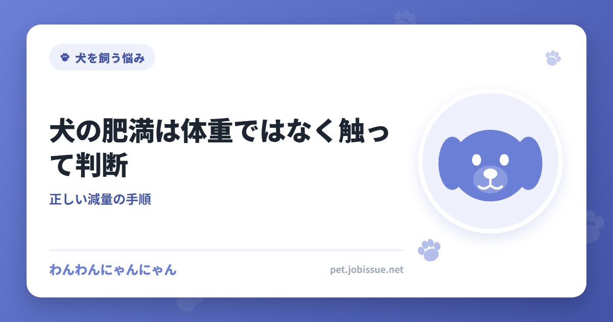犬の肥満は体重ではなく触って判断