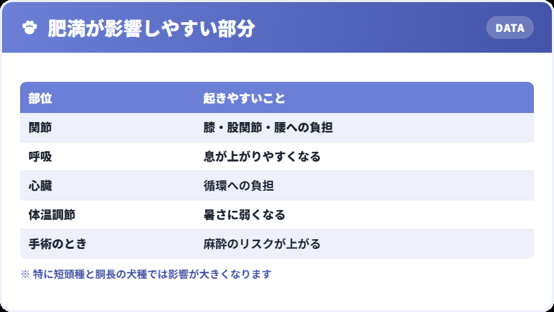 肥満が体に与える影響