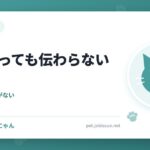 猫を叱っても伝わらない理由
