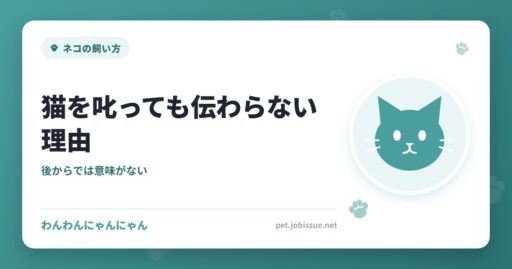 猫を叱っても伝わらない理由