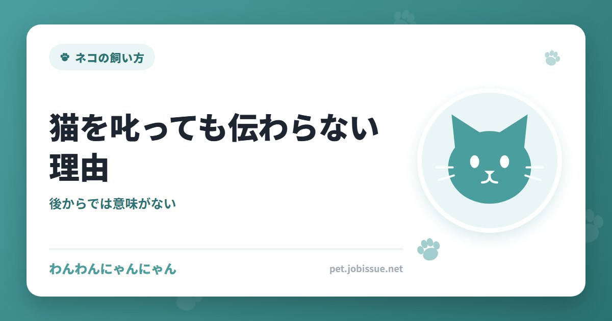 猫を叱っても伝わらない理由