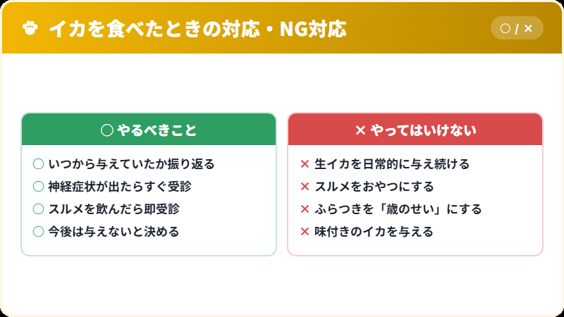 猫がイカを食べたときの正しい対応とNG対応の比較