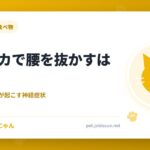 猫にイカで腰を抜かすは本当