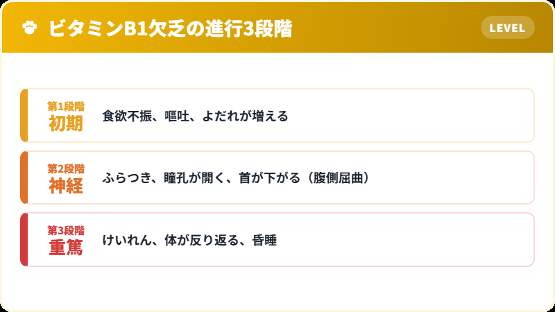 猫のビタミンB1欠乏症の進行3段階