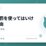 猫に体罰を使ってはいけない理由
