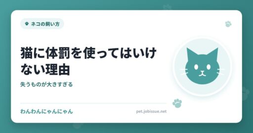 猫に体罰を使ってはいけない理由