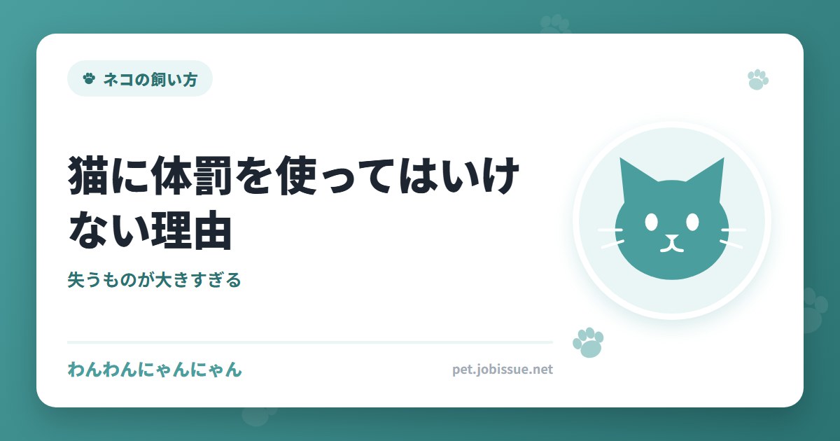猫に体罰を使ってはいけない理由