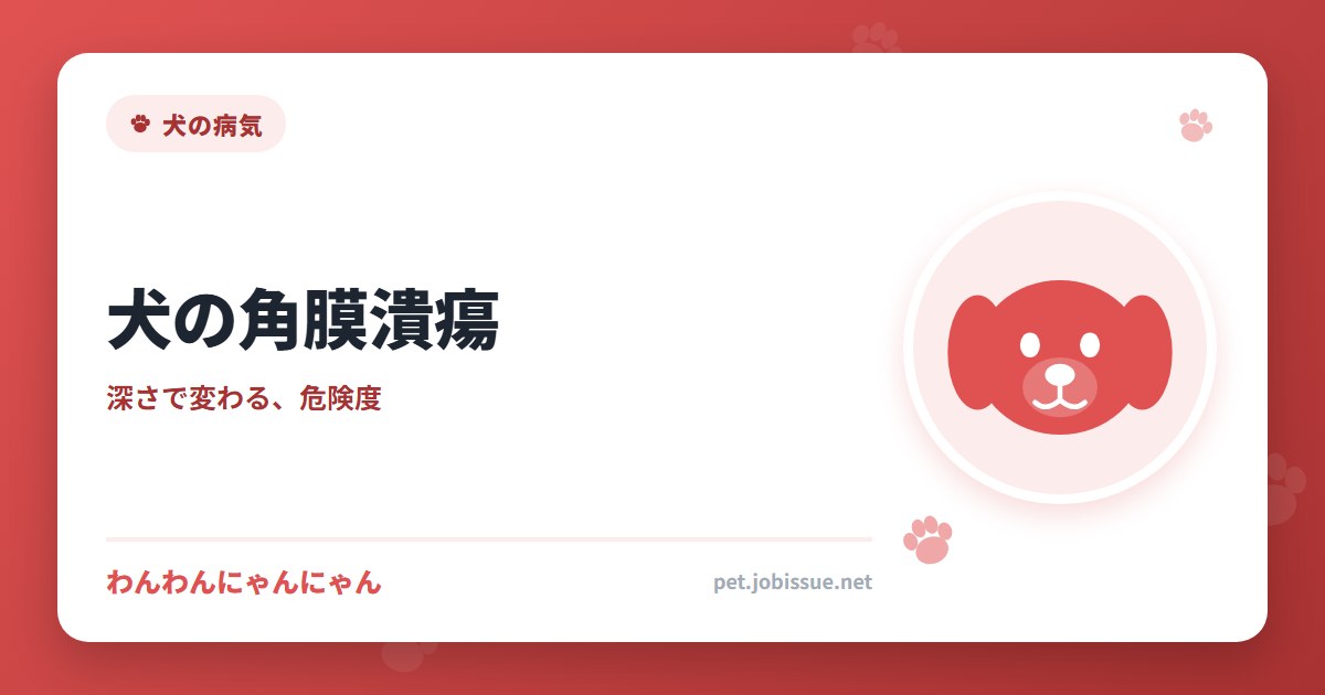 犬の角膜潰瘍