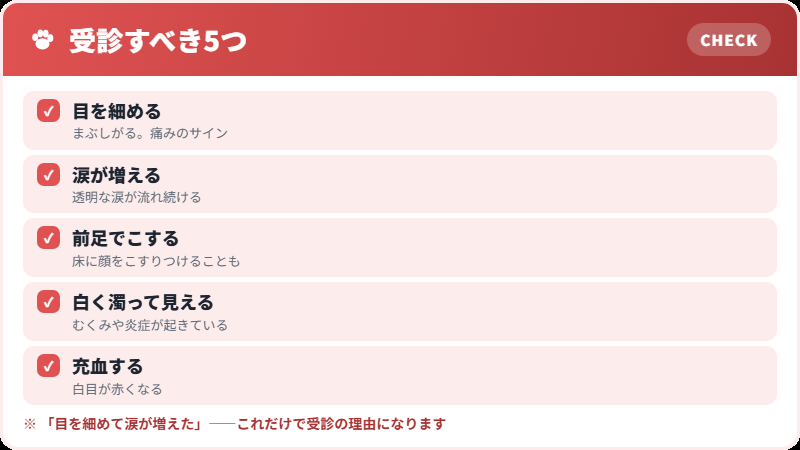 角膜潰瘍を疑うサイン