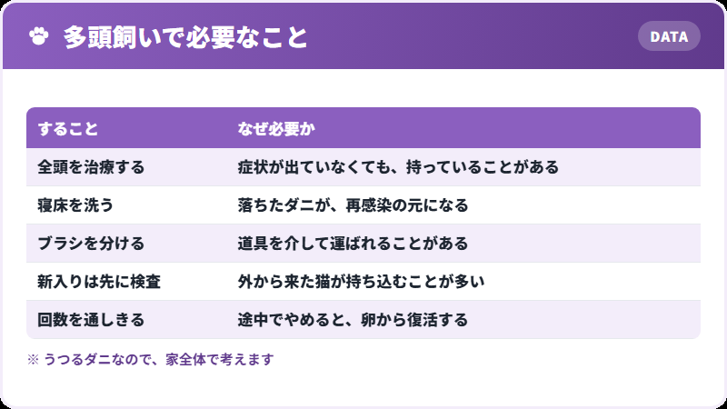 同居猫への対応
