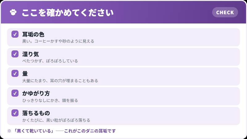 耳の中を見てください