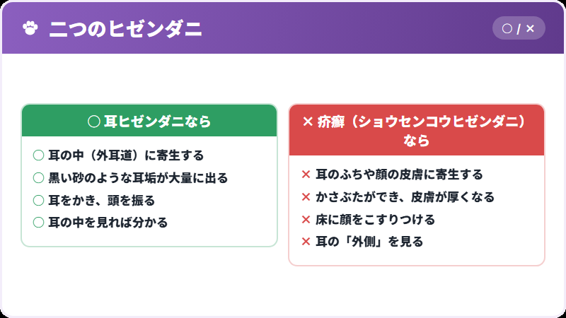 疥癬との違い