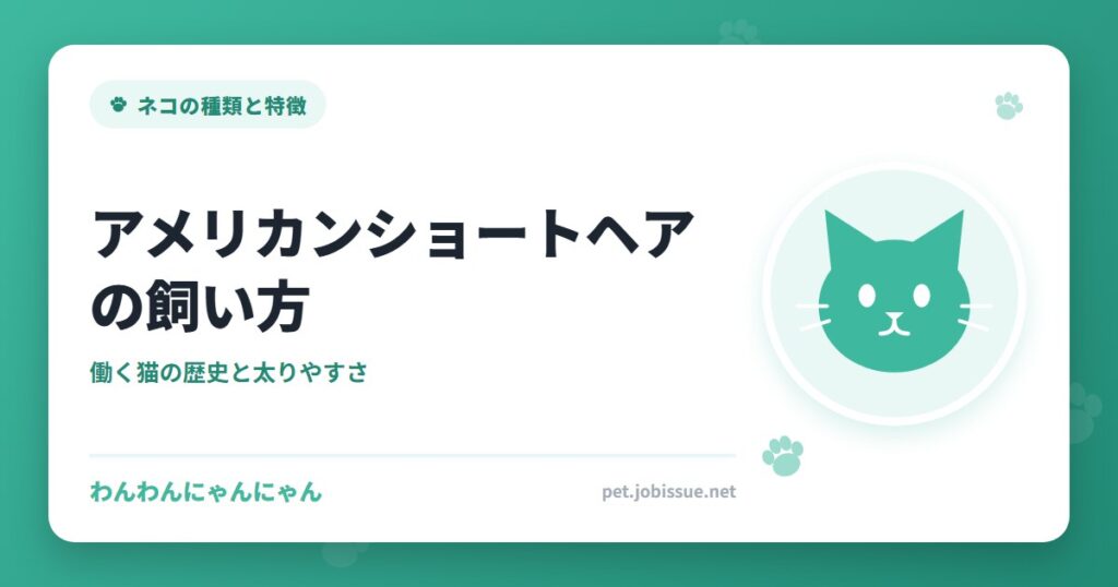 アメリカンショートヘアの飼い方