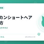 アメリカンショートヘアの飼い方