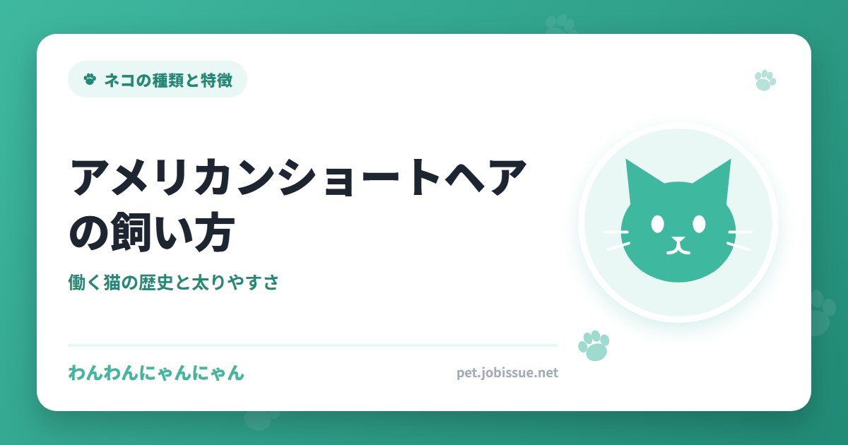 アメリカンショートヘアの飼い方
