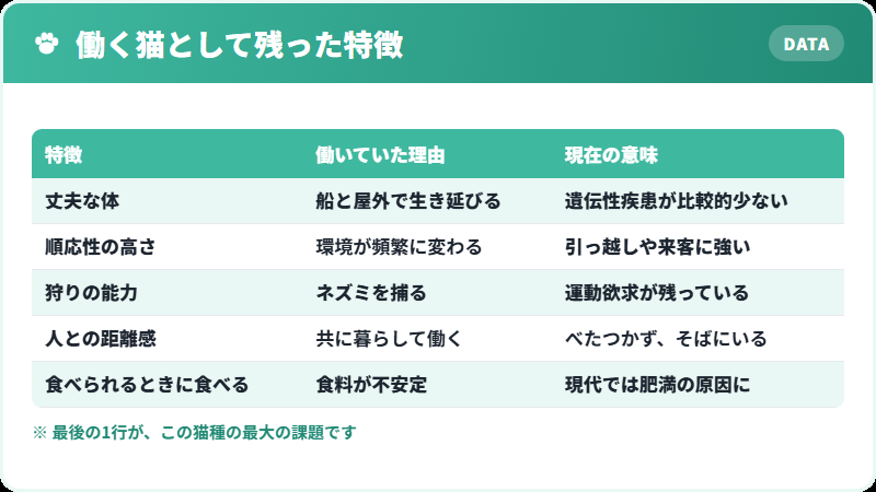 働く猫として選ばれてきた特徴の一覧
