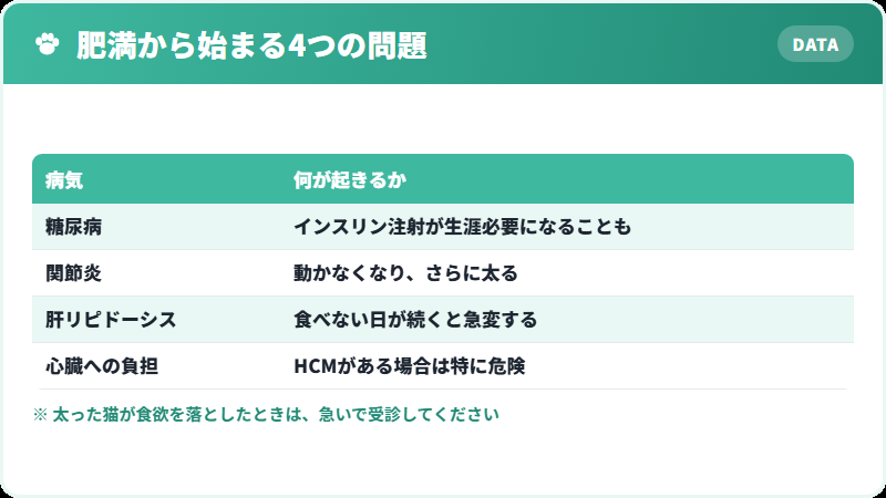 肥満が招く病気の一覧