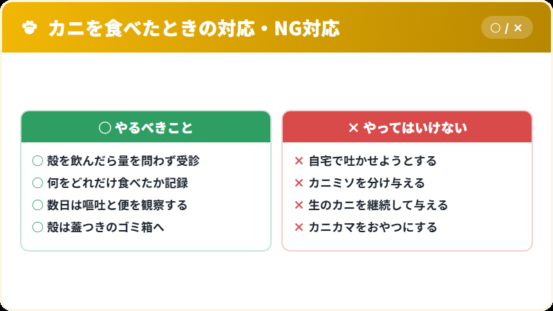 猫がカニを食べたときの正しい対応とNG対応