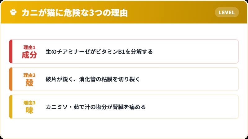 猫にとってカニが危険な3つの理由