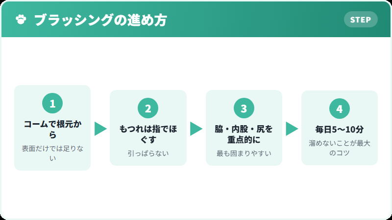 ペルシャ猫のブラッシング手順