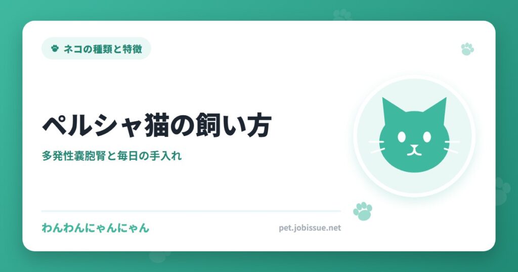 ペルシャ猫の飼い方