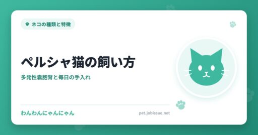 ペルシャ猫の飼い方