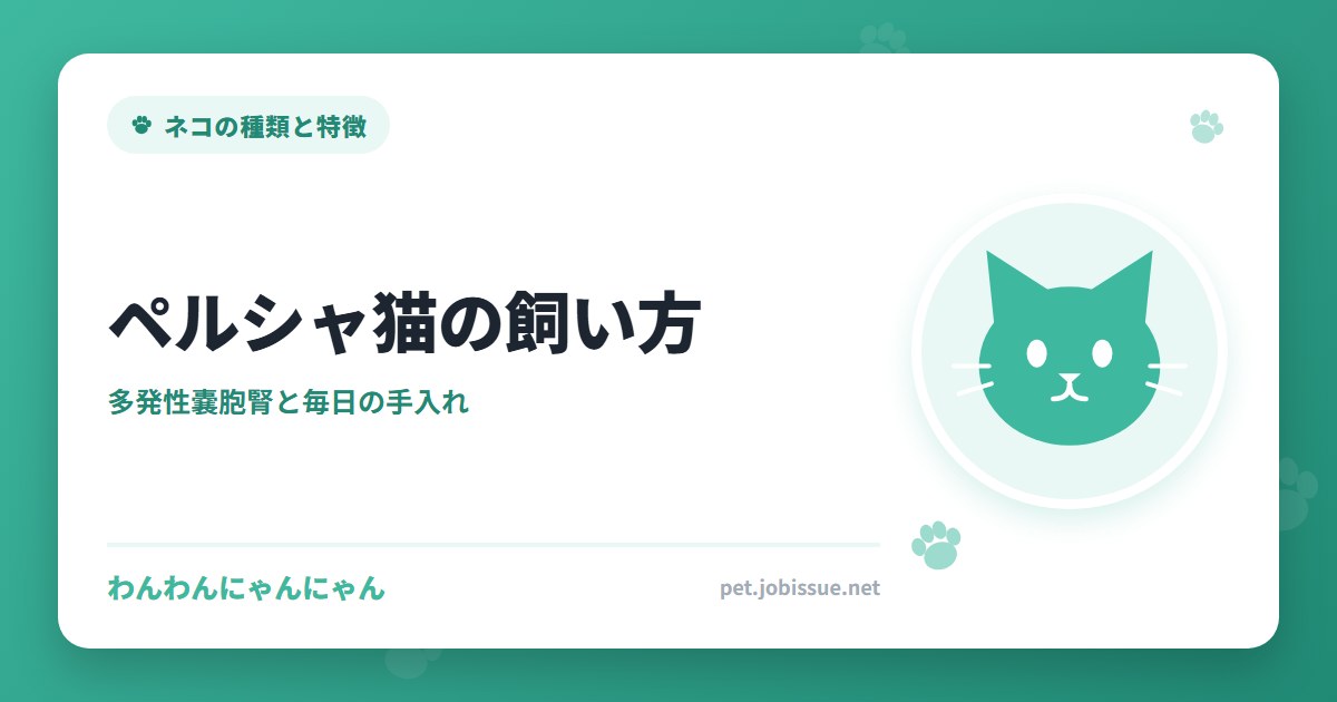 ペルシャ猫の飼い方
