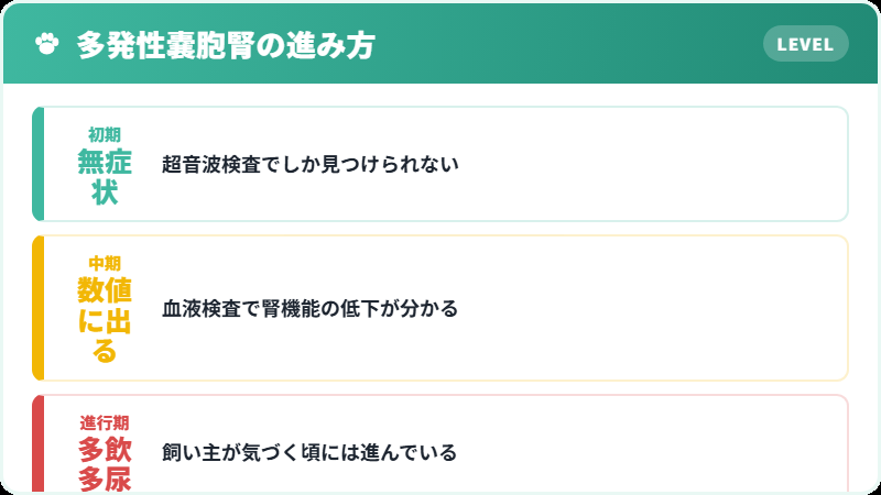 多発性嚢胞腎の進行段階を示した図