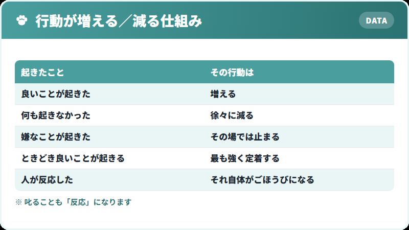 行動が増える仕組み