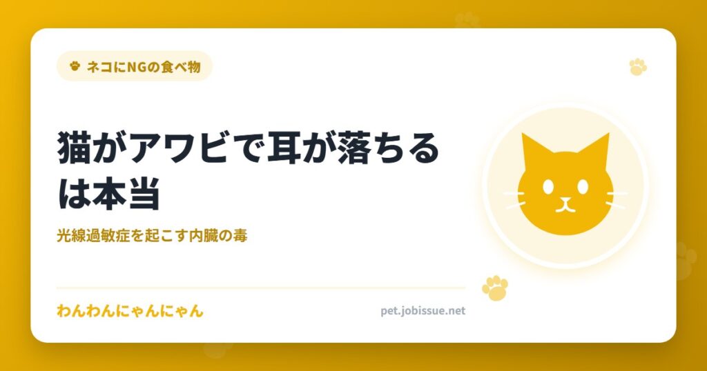 猫がアワビで耳が落ちるは本当