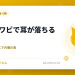 猫がアワビで耳が落ちるは本当