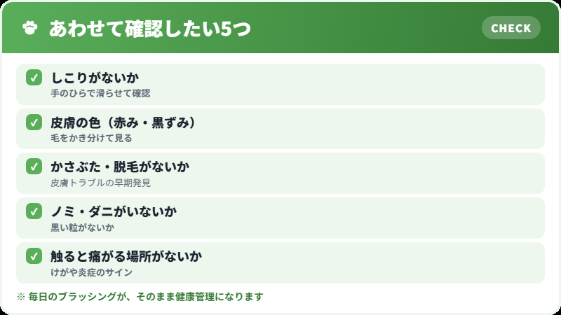ブラッシング中に確認したいこと